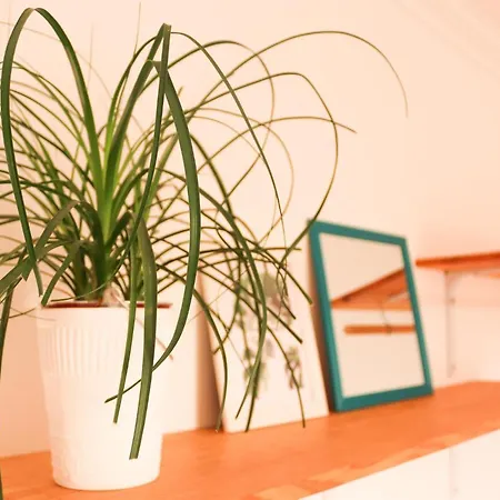 Thalassophilia Guest house
